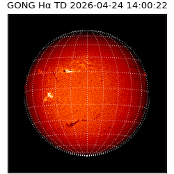 gong - 2026-04-24T14:00:22