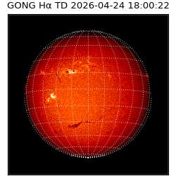 gong - 2026-04-24T18:00:22