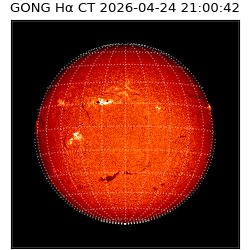 gong - 2026-04-24T21:00:42