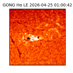 gong - 2026-04-25T01:00:42