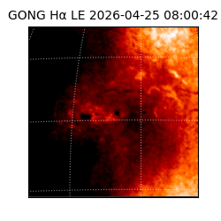 gong - 2026-04-25T08:00:42