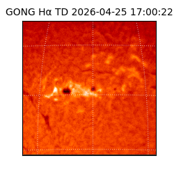 gong - 2026-04-25T17:00:22