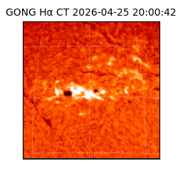 gong - 2026-04-25T20:00:42