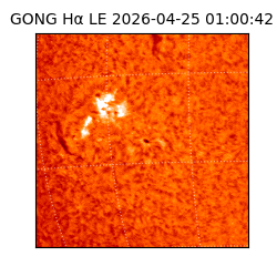 gong - 2026-04-25T01:00:42