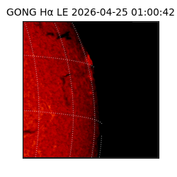gong - 2026-04-25T01:00:42