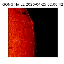gong - 2026-04-25T02:00:42