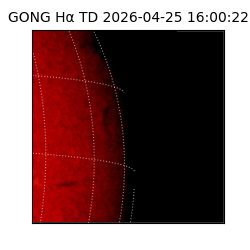gong - 2026-04-25T16:00:22