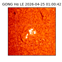 gong - 2026-04-25T01:00:42