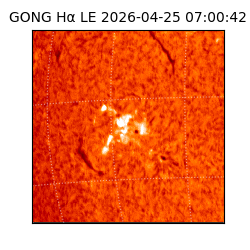 gong - 2026-04-25T07:00:42