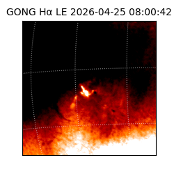 gong - 2026-04-25T08:00:42