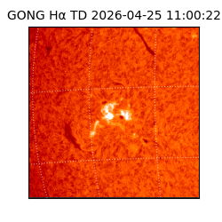 gong - 2026-04-25T11:00:22