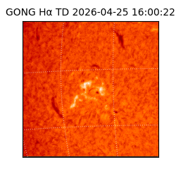 gong - 2026-04-25T16:00:22