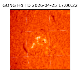 gong - 2026-04-25T17:00:22