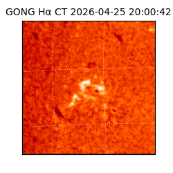 gong - 2026-04-25T20:00:42