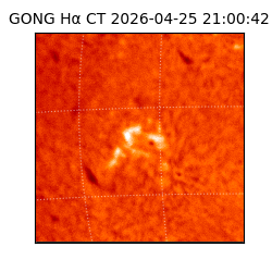 gong - 2026-04-25T21:00:42