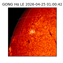 gong - 2026-04-25T01:00:42