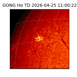 gong - 2026-04-25T11:00:22