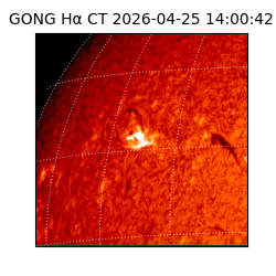 gong - 2026-04-25T14:00:42