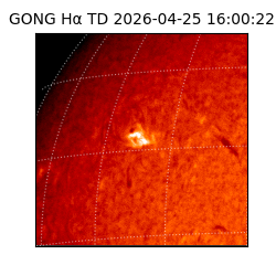 gong - 2026-04-25T16:00:22