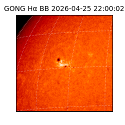 gong - 2026-04-25T22:00:02