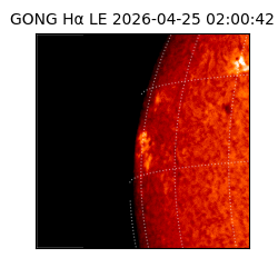gong - 2026-04-25T02:00:42