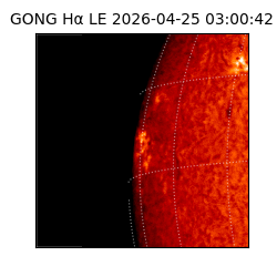 gong - 2026-04-25T03:00:42