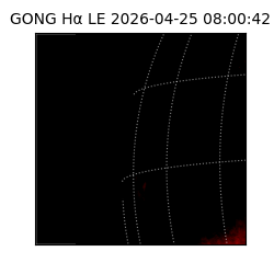 gong - 2026-04-25T08:00:42