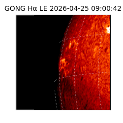 gong - 2026-04-25T09:00:42