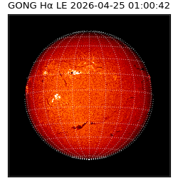 gong - 2026-04-25T01:00:42