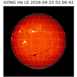 gong - 2026-04-25T02:00:42