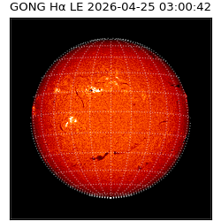 gong - 2026-04-25T03:00:42
