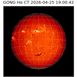 gong - 2026-04-25T19:00:42