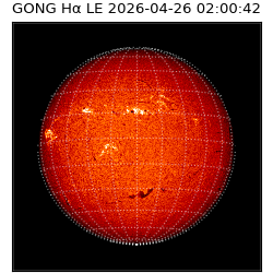 gong - 2026-04-26T02:00:42