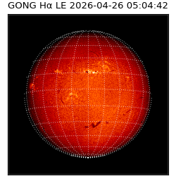 gong - 2026-04-26T05:04:42