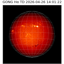 gong - 2026-04-26T14:01:22