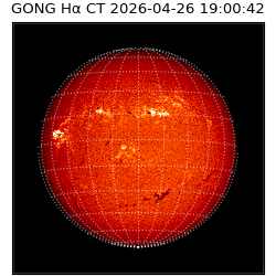 gong - 2026-04-26T19:00:42