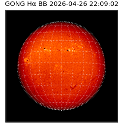 gong - 2026-04-26T22:09:02