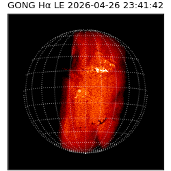 gong - 2026-04-26T23:41:42