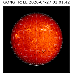 gong - 2026-04-27T01:01:42
