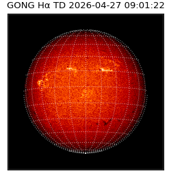 gong - 2026-04-27T09:01:22