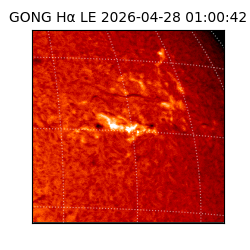 gong - 2026-04-28T01:00:42