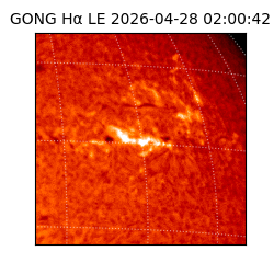 gong - 2026-04-28T02:00:42