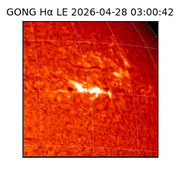 gong - 2026-04-28T03:00:42