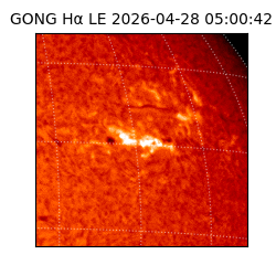 gong - 2026-04-28T05:00:42