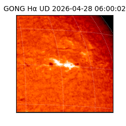 gong - 2026-04-28T06:00:02