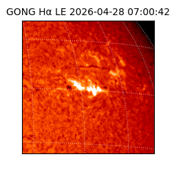 gong - 2026-04-28T07:00:42