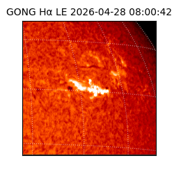 gong - 2026-04-28T08:00:42