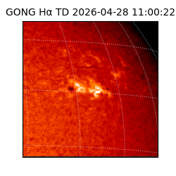 gong - 2026-04-28T11:00:22