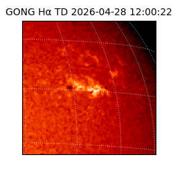 gong - 2026-04-28T12:00:22