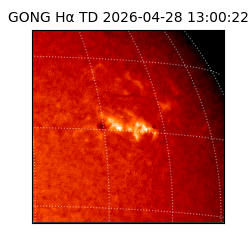 gong - 2026-04-28T13:00:22